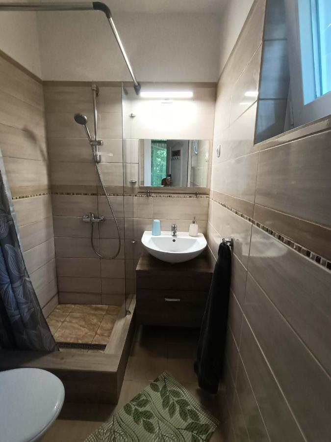 Hotel Toelgyfa Vendeghaz Balatonszepezd Exteriér fotografie